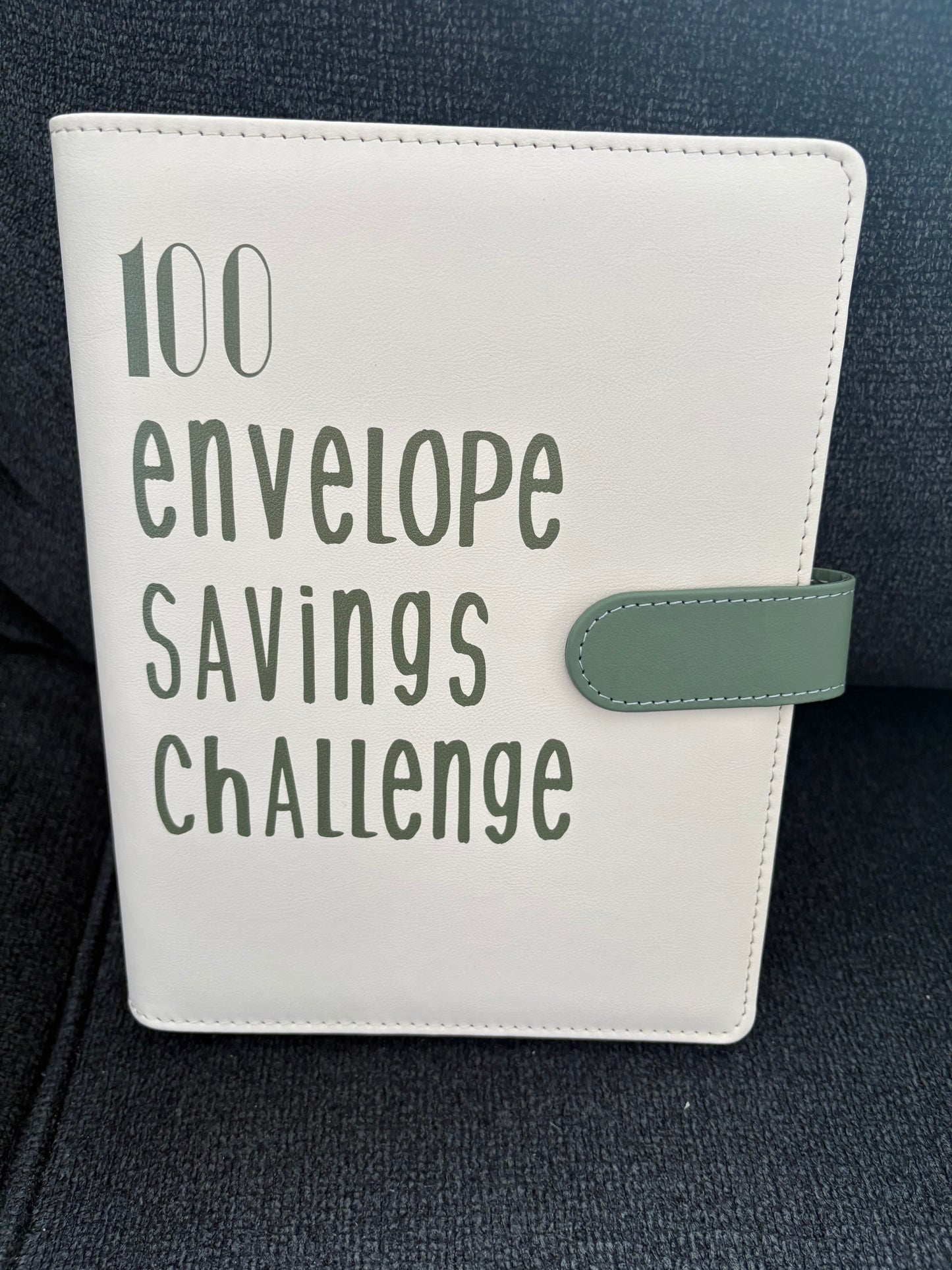 The Green 100 Envelope Savings Binder